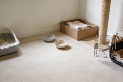 A room set up for a new kitten with a litter tray, bowls, scratching post and an open carrier.