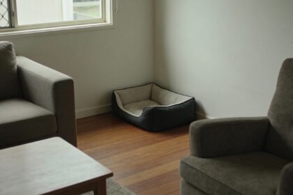 A small corner-shaped dog bed against a wall beside a couch in a compact living room.