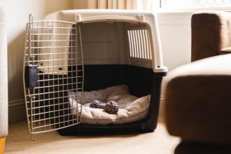 A dog crate in a living room with the door propped open, bedding inside and a chew toy on the bedding.