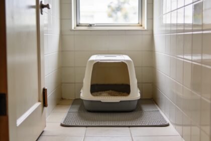 A hooded litter tray with its flap removed, on a mat in a tiled bathroom corner with the door wedged open.