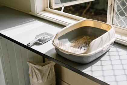 A litter tray on a laundry bench beside an open window, with a scoop next to it and a bag of litter below.