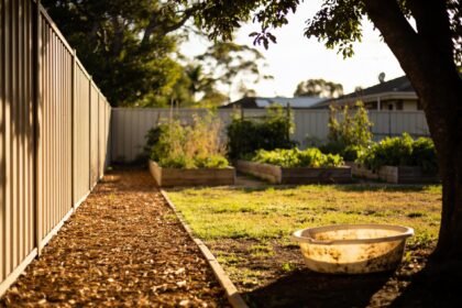 A backyard with a mulched path along the fence, raised garden beds and a shaded area with a water bowl.