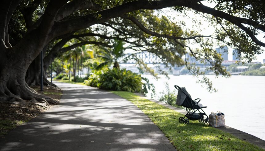 A shaded riverside path under large fig trees with a stroller and picnic bag at the edge of a lawn.