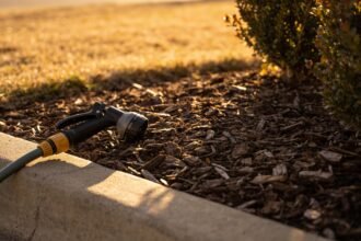 A mulched garden bed with a trigger-nozzle hose resting on the edge, dry lawn behind in evening light.