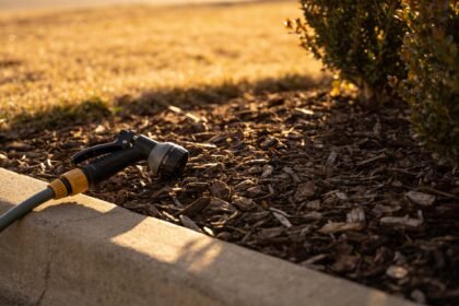A mulched garden bed with a trigger-nozzle hose resting on the edge, dry lawn behind in evening light.