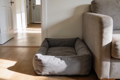 An empty grey dog bed in the corner of a lounge room beside a couch, with a view through to the hallway.
