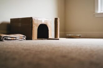A quiet room corner set up for a kitten with a cardboard hideaway box, a small scratching post, a blanket and a water bowl.