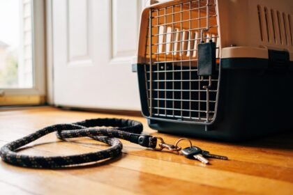 A dog lead, a cat carrier and a set of keys on the floorboards just inside the front door of a rented house.
