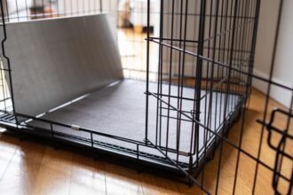 An empty folding wire dog crate open on floorboards with a flat grey mat inside and a metal divider panel fitted across it.