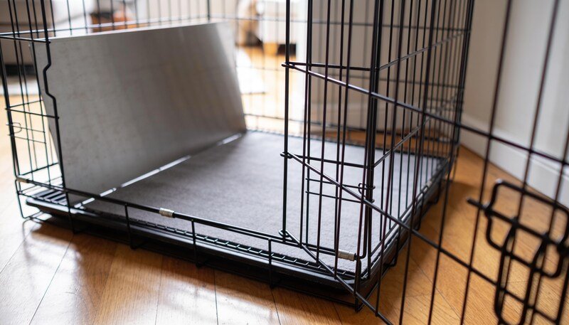 An empty folding wire dog crate open on floorboards with a flat grey mat inside and a metal divider panel fitted across it.