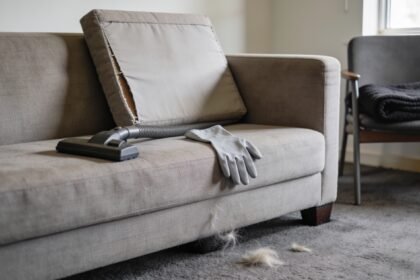 Upholstery attachment and rubber glove beside a lifted couch cushion, with pet hair on the surrounding carpet.
