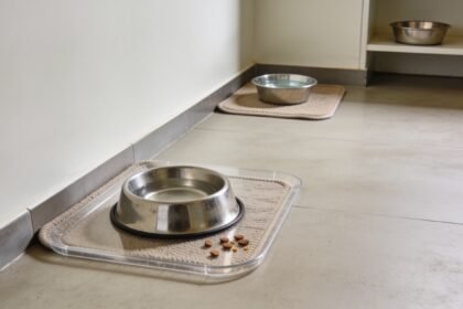 A dog food bowl on a removable mat with a few contained crumbs, and a separate water bowl further along the kitchen.