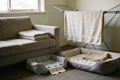 Pet bed, folded couch throw and walking towel on a drying rack in a compact living room.