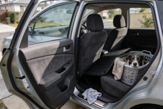 Removable dog seat cover and towel taken out beside an open car door for cleaning.
